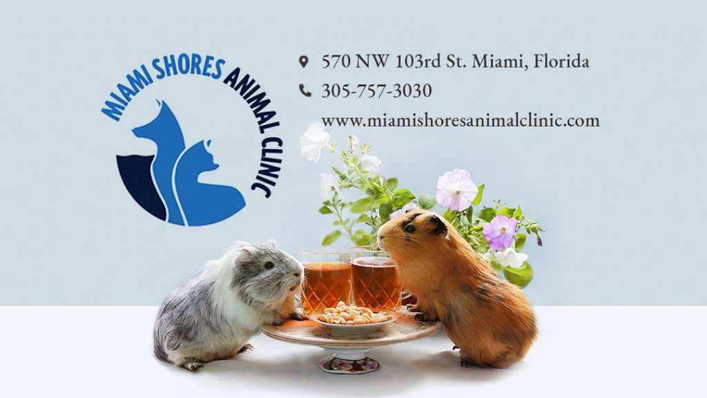 Miami Shores Animal Clinic | 570 NW 103rd St, Miami, FL 33150, USA | Phone: (305) 757-3030