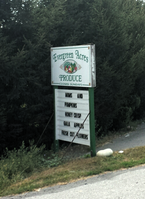 Evergreen Acres Produce | 745 N Reading Rd, Ephrata, PA 17522, USA