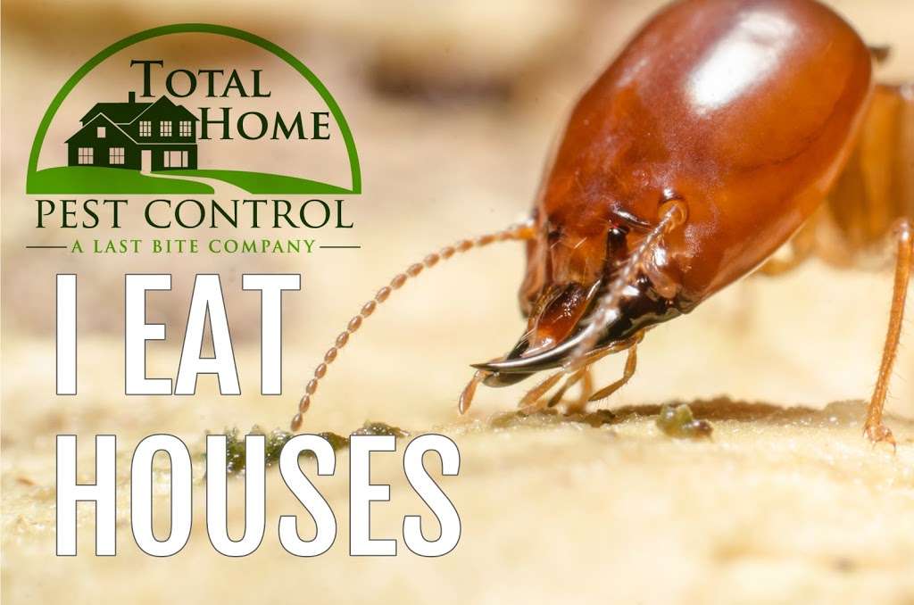 Total Home Pest Control | 315 NJ-35, Red Bank, NJ 07701, USA | Phone: (732) 938-3232