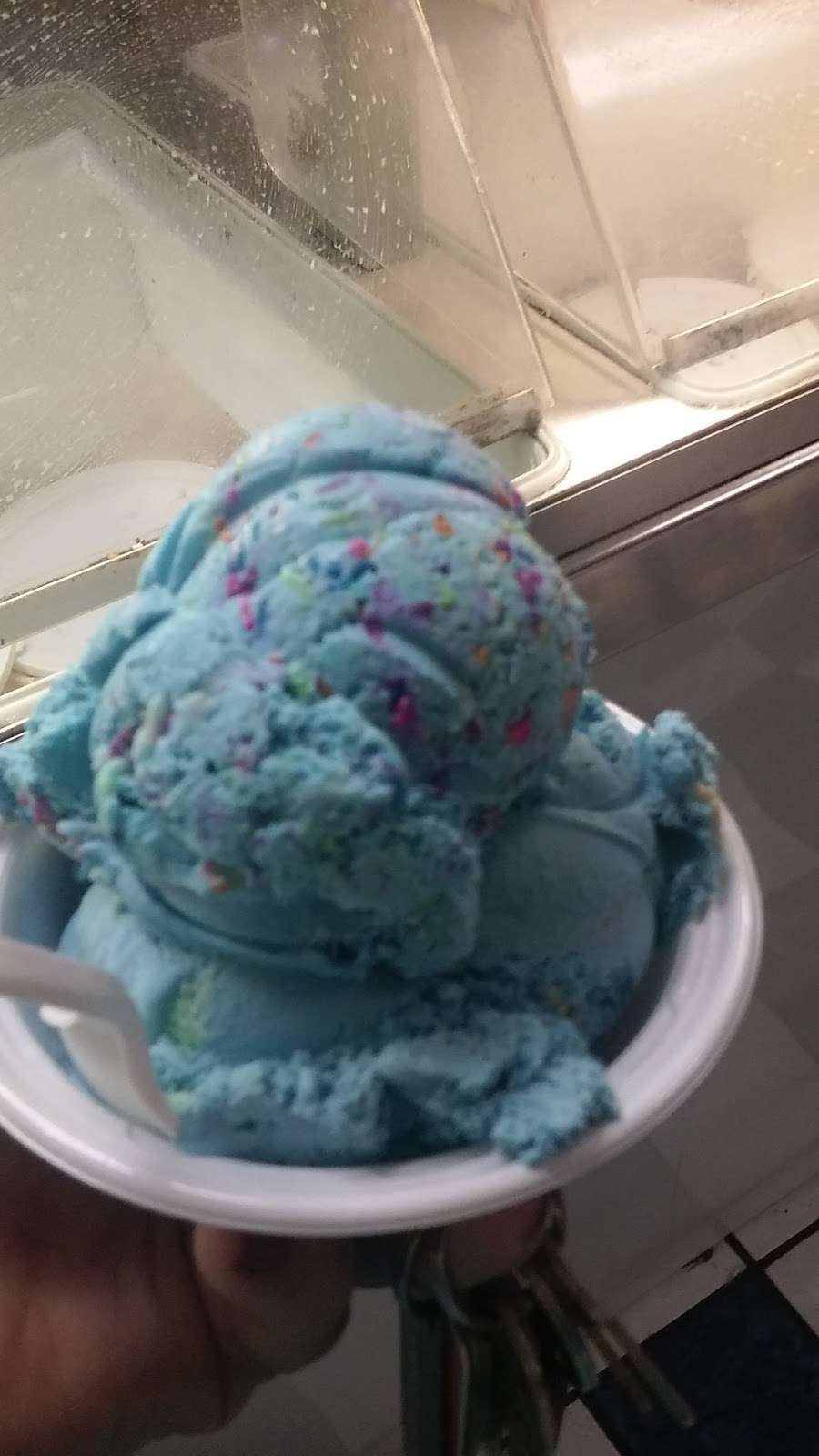 Zoghbys Blueberry Mountain Ice Cream | 655 NY-17M, Middletown, NY 10940, USA | Phone: (845) 344-2500
