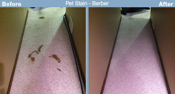 Advanced Carpet Restoration | 4100 16th Ave S # 2, Minneapolis, MN 55407 | Phone: (612) 825-9797
