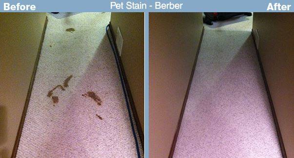 Advanced Carpet Restoration | 4100 16th Ave S # 2, Minneapolis, MN 55407, USA | Phone: (612) 825-9797