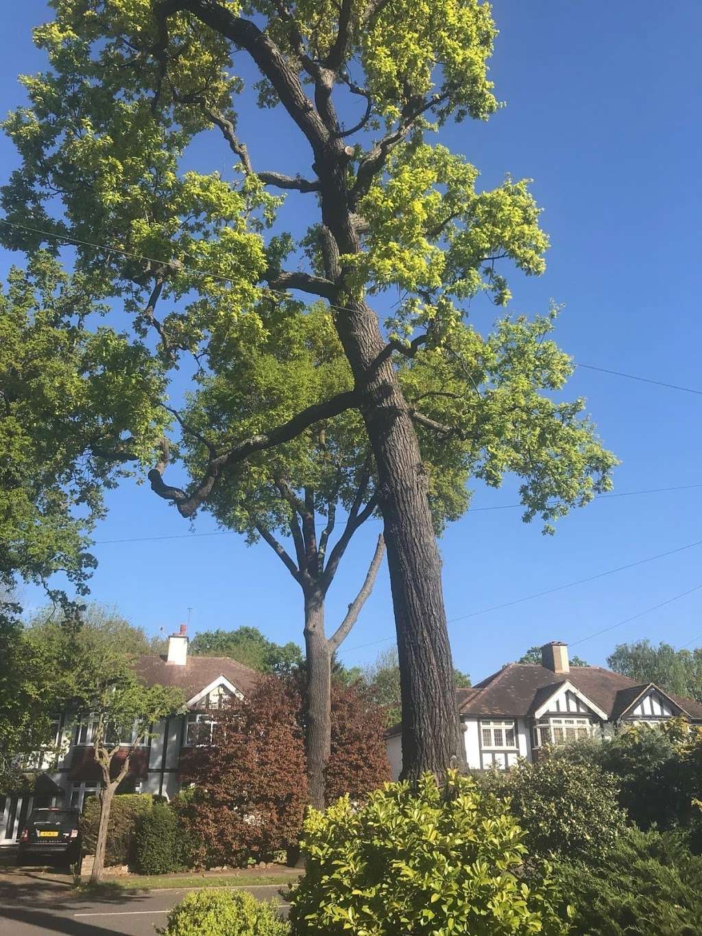Elmes Homecare | 73 Barnfield Wood Rd, Beckenham BR3 6ST, UK | Phone: 0800 009 6926