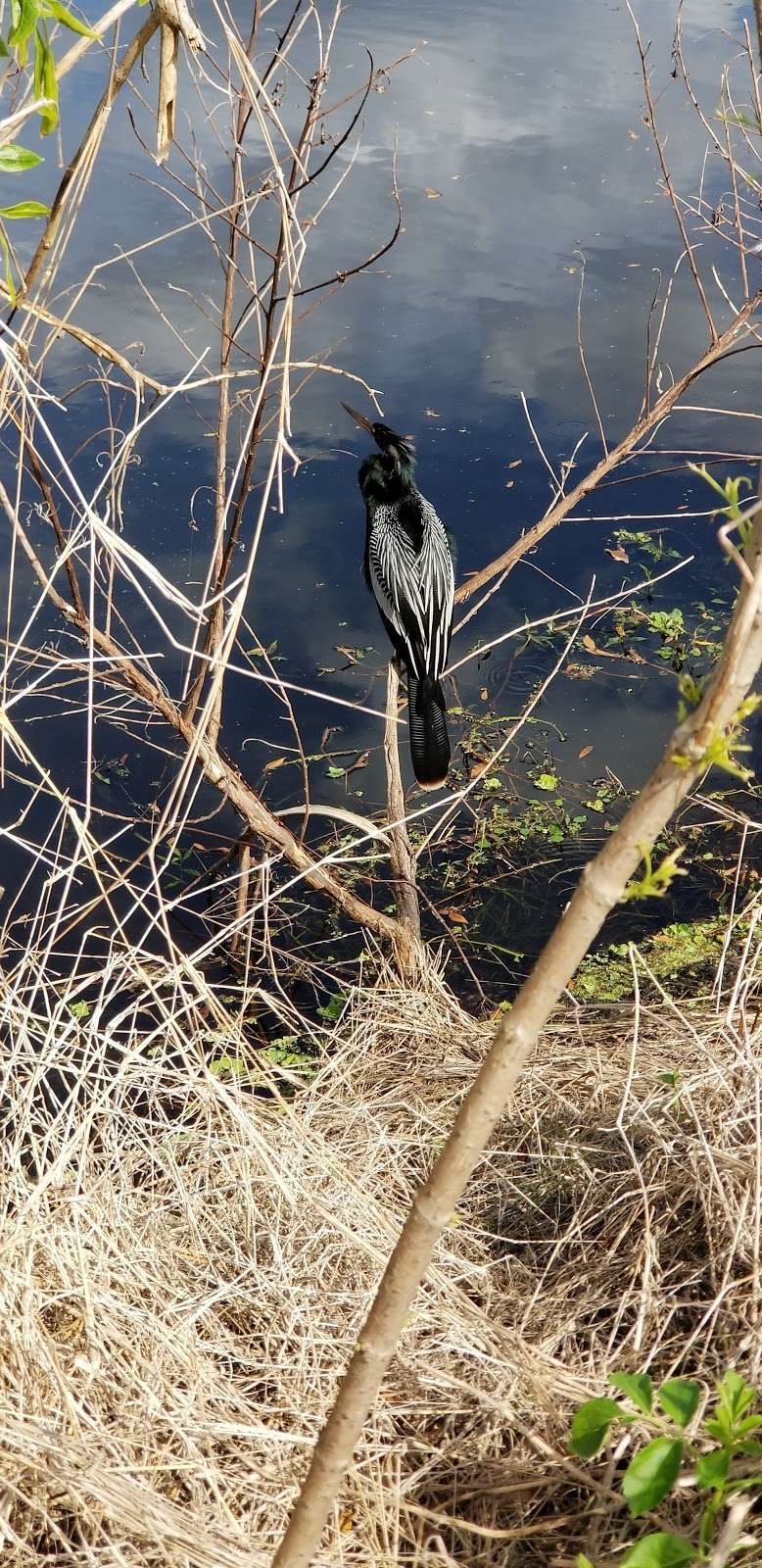 Polks Nature Discovery Center | 4399 Winter Lake Rd, Lakeland, FL 33803, USA | Phone: (863) 668-4673