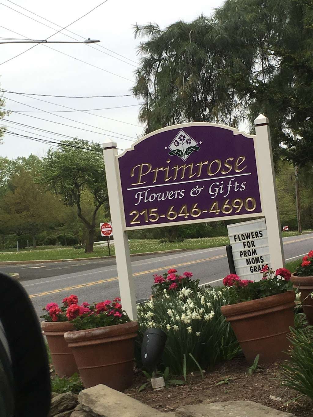 Primrose Extraordinary Flowers | 1525 Limekiln Pike, Dresher, PA 19025, USA | Phone: (215) 646-4690