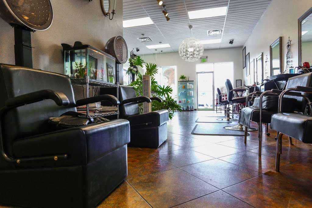 The Hair Connection | 12913 E Colonial Dr, Orlando, FL 32826, USA | Phone: (407) 281-0088