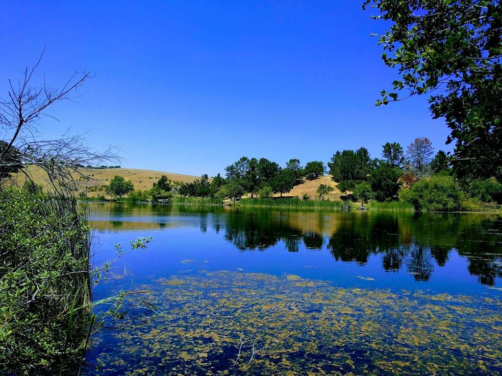 Foothills Park | 3300 Page Mill Rd, Los Altos Hills, CA 94022, USA | Phone: (650) 329-2423