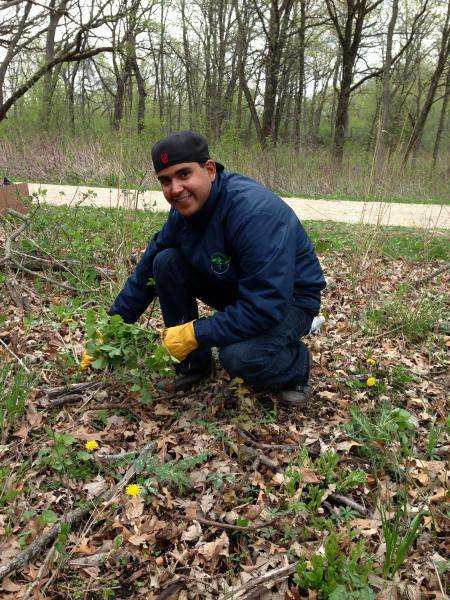 Smithereen Pest Management Services | 7400 N Melvina Ave, Niles, IL 60714 | Phone: (847) 647-0010