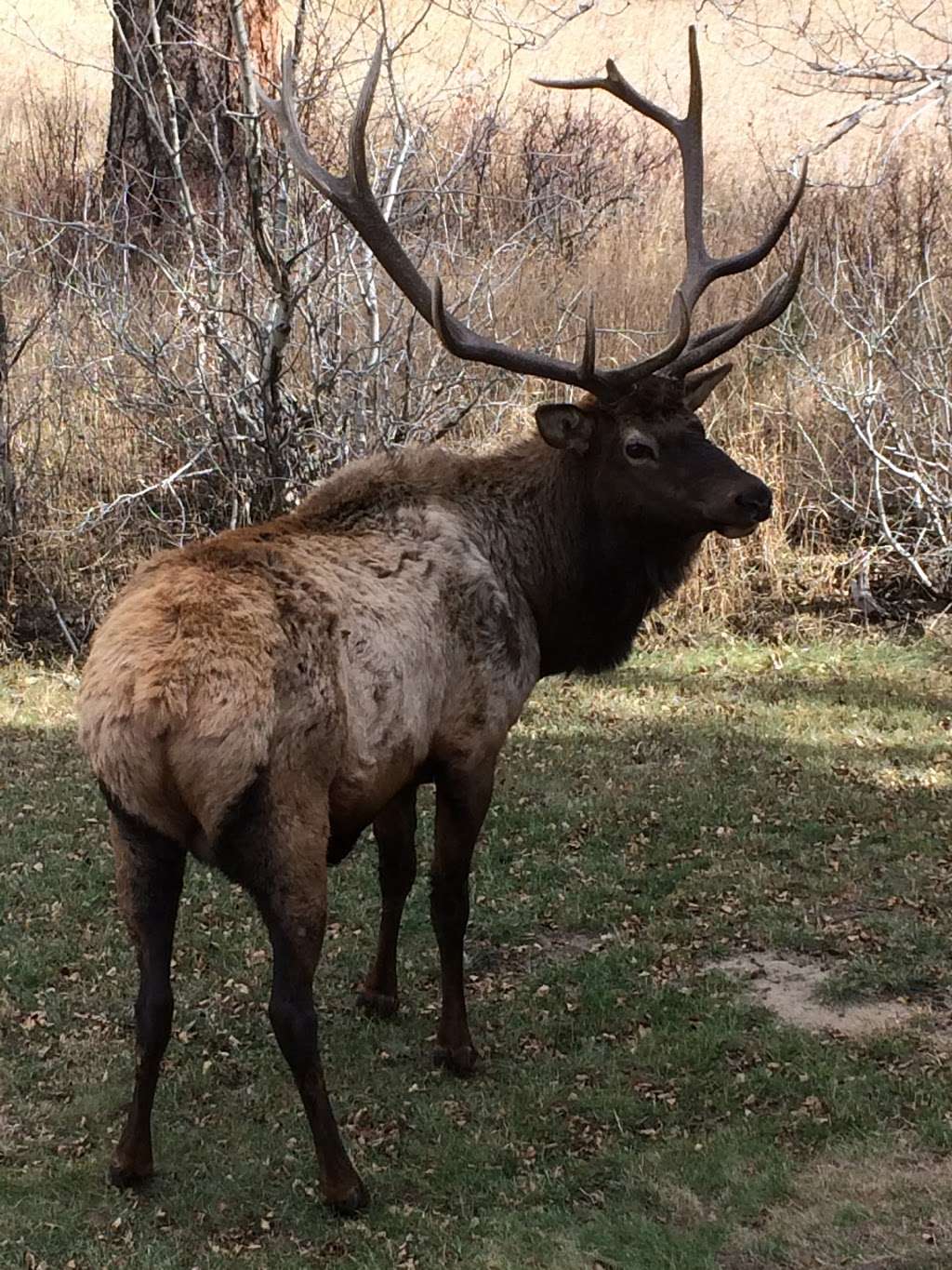 Bear Creek TWO - Estes Park Vacation Condo | 1280 Fall River Rd #2, Estes Park, CO 80517, USA | Phone: (303) 898-7056