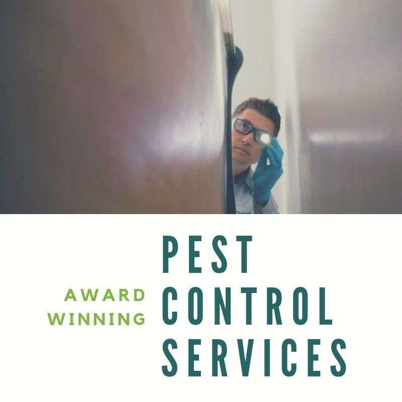 Edge - Pest Control and Lawn Care | 372 Mountain View Rd Unit 15, Berthoud, CO 80513, USA | Phone: (720) 539-7075