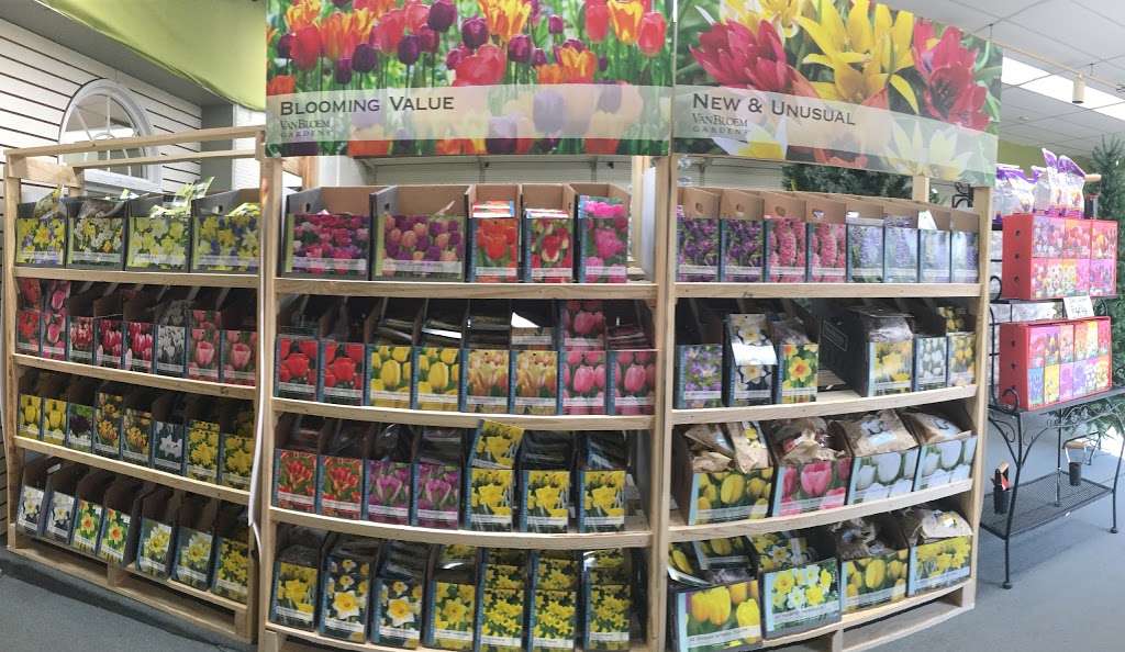 McNaughtons Garden Center | 351 Kresson Rd, Cherry Hill, NJ 08034 | Phone: (856) 429-6745