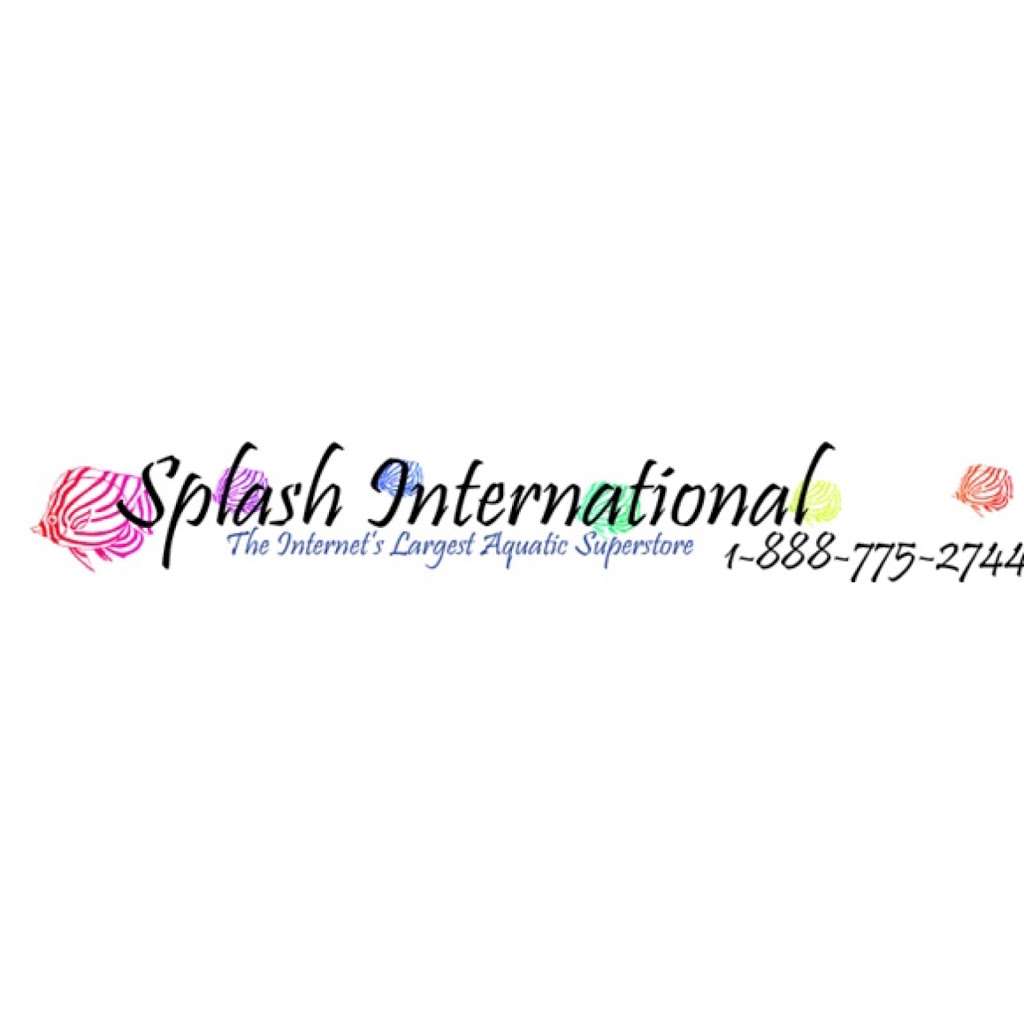 SPLASH! International, Inc | 202 Brookneil Dr, Winchester, VA 22602, USA | Phone: (540) 869-6000