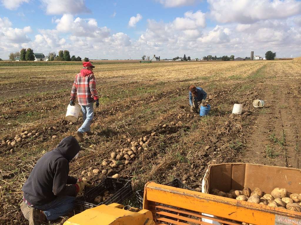 Bountiful Blessings Farm Produce | 15565 McGirr Rd, Hinckley, IL 60520 | Phone: (320) 217-9253