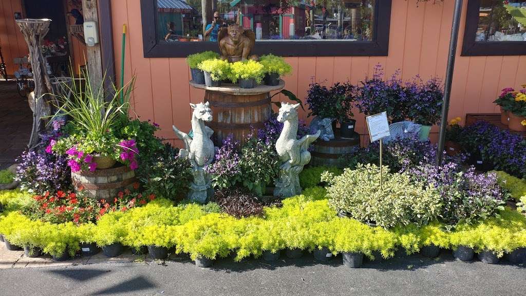 flamingo road nursery homestead flamingo road nursery homestead