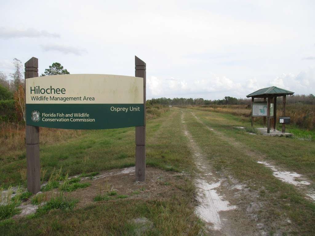 Hilochee Wildlife Management Area, Osprey Unit | 6239 Co Rd 557, Polk City, FL 33868, USA | Phone: (863) 648-3200