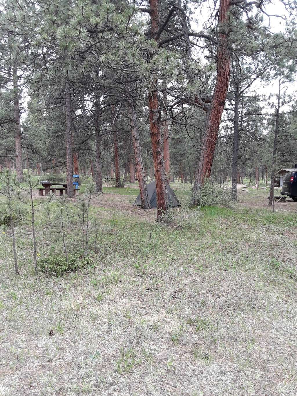 Buffalo Campground | Forest Rd 550, Pine, CO 80470 | Phone: (303) 275-5610