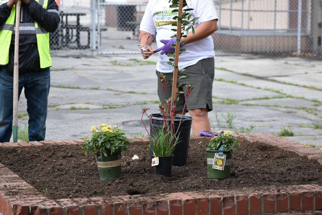 Lovelia P Flournoy Elementary | 1630 E 111th St, Los Angeles, CA 90059, USA | Phone: (323) 564-2545