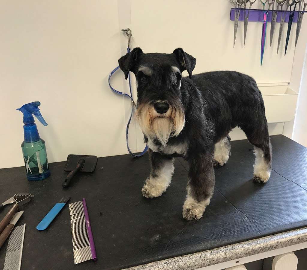 The Grooming Cabin at Animall | Crown Corner, Crown Road, Kelvedon Hatch, Brentwood Essex CM14 5TB, UK | Phone: 07533 493978