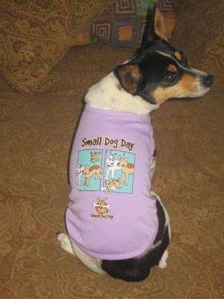 Small Dog Day | 34540 Brock Ln, Acton, CA 93520, USA | Phone: (661) 269-0231