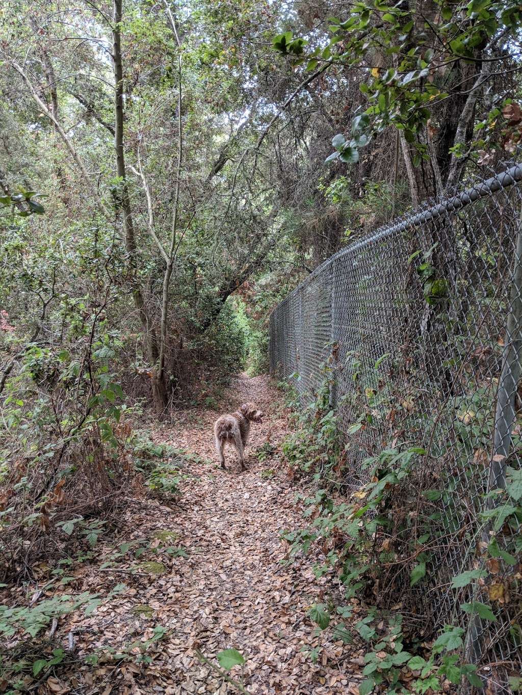 Charmichael Trailhead | Aptos, CA 95003