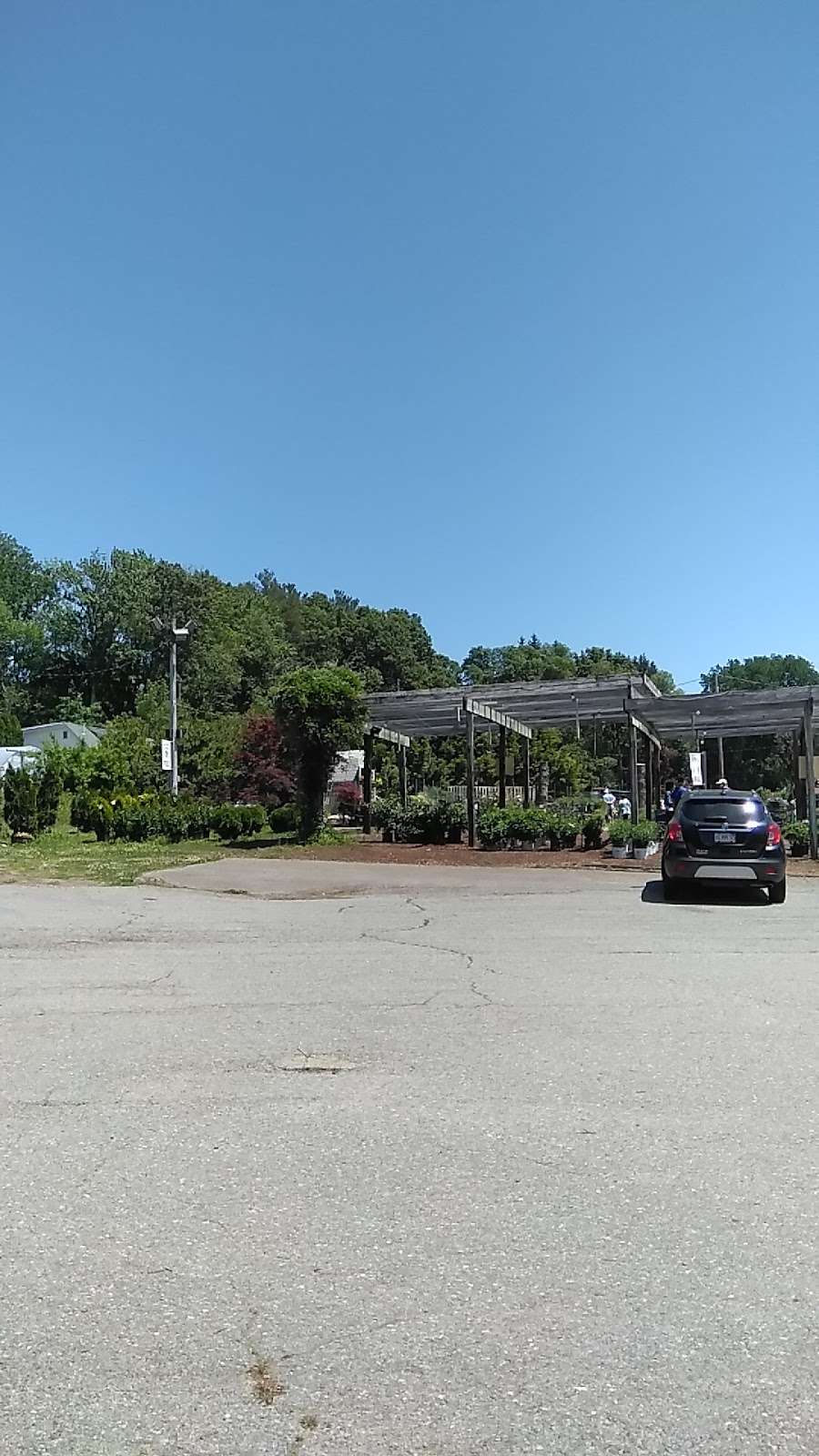 Laschis Garden Center | 20 Ayers Village Rd, Methuen, MA 01844, USA | Phone: (978) 683-0309