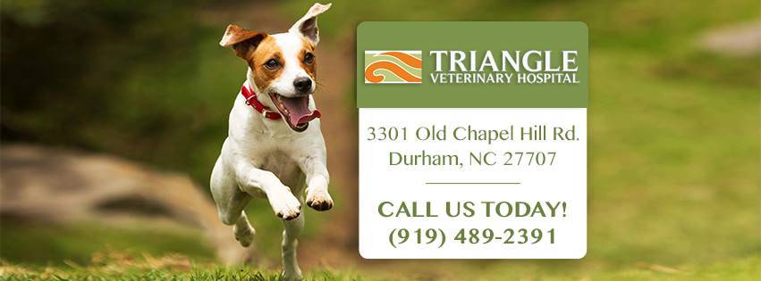 Triangle Veterinary Hospital | 3301 Old Chapel Hill Rd, Durham, NC 27707, USA | Phone: (919) 489-2391