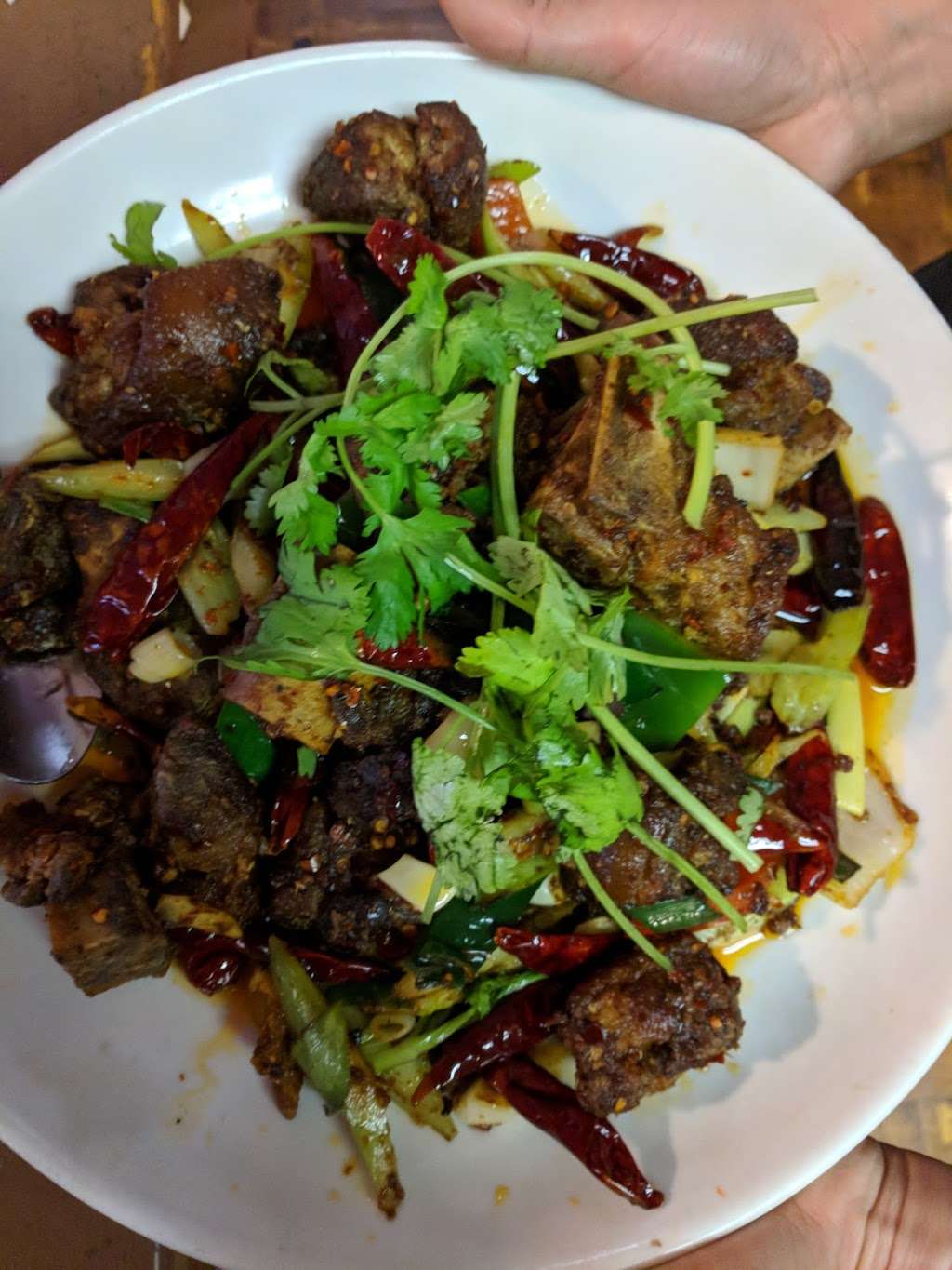 Sichuan Spring Chinese Restaurant | 1167 Raritan Ave, Highland Park, NJ 08904 | Phone: (732) 572-9510