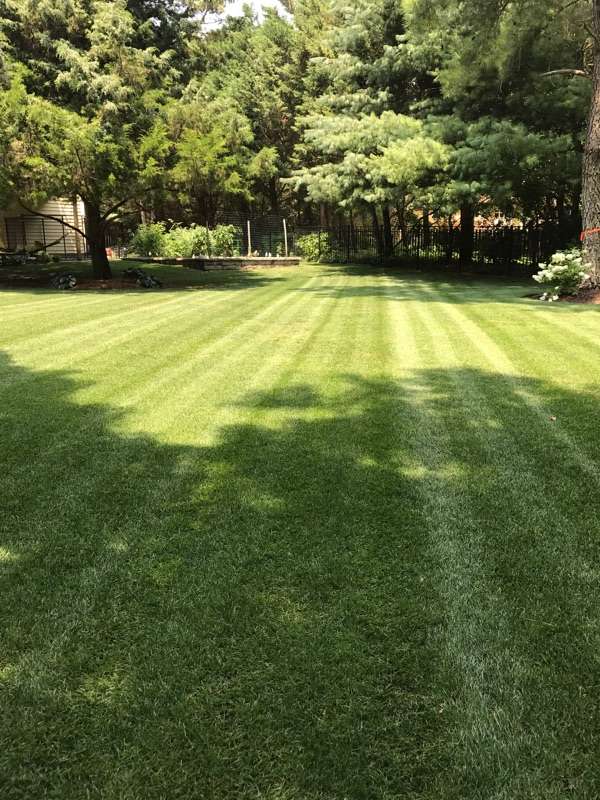 Lawns Unlimited Ltd | 15089 Coastal Hwy, Milton, DE 19968, USA | Phone: (302) 645-5296