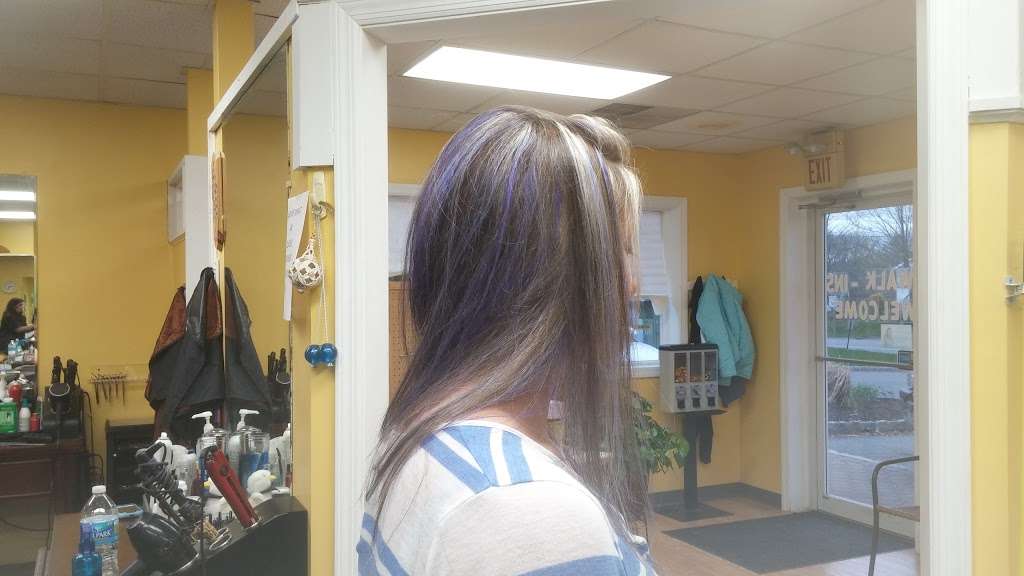 Hairs to You | 540 County Road 519, Belvidere, NJ 07823, USA | Phone: (908) 475-5911