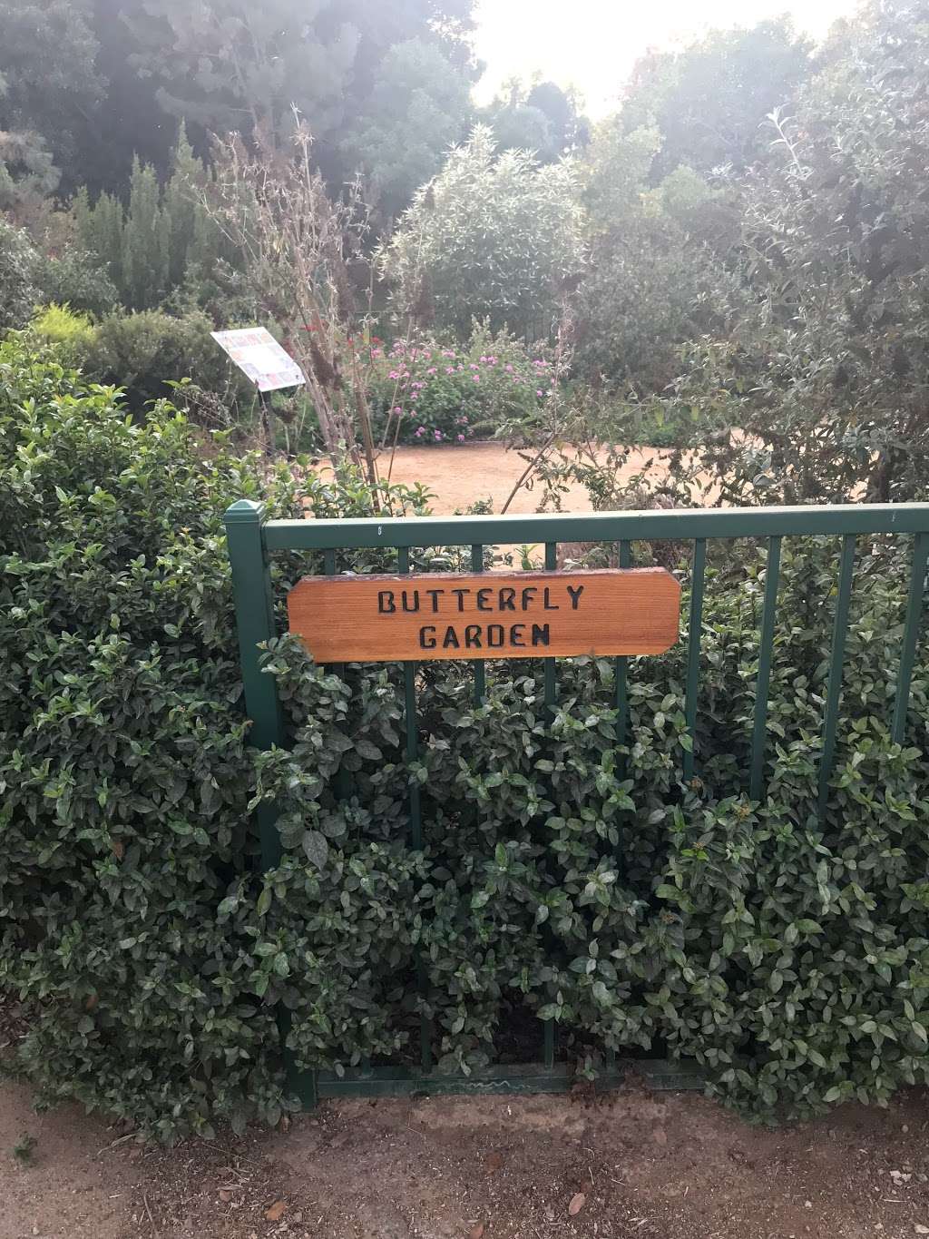 UCRBG Butterfly Garden | 286 Frost Ct, Riverside, CA 92507, USA