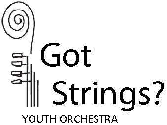 Got Strings? Youth Orchestra | 408 Vine St, Perkasie, PA 18944, USA | Phone: (267) 374-1032