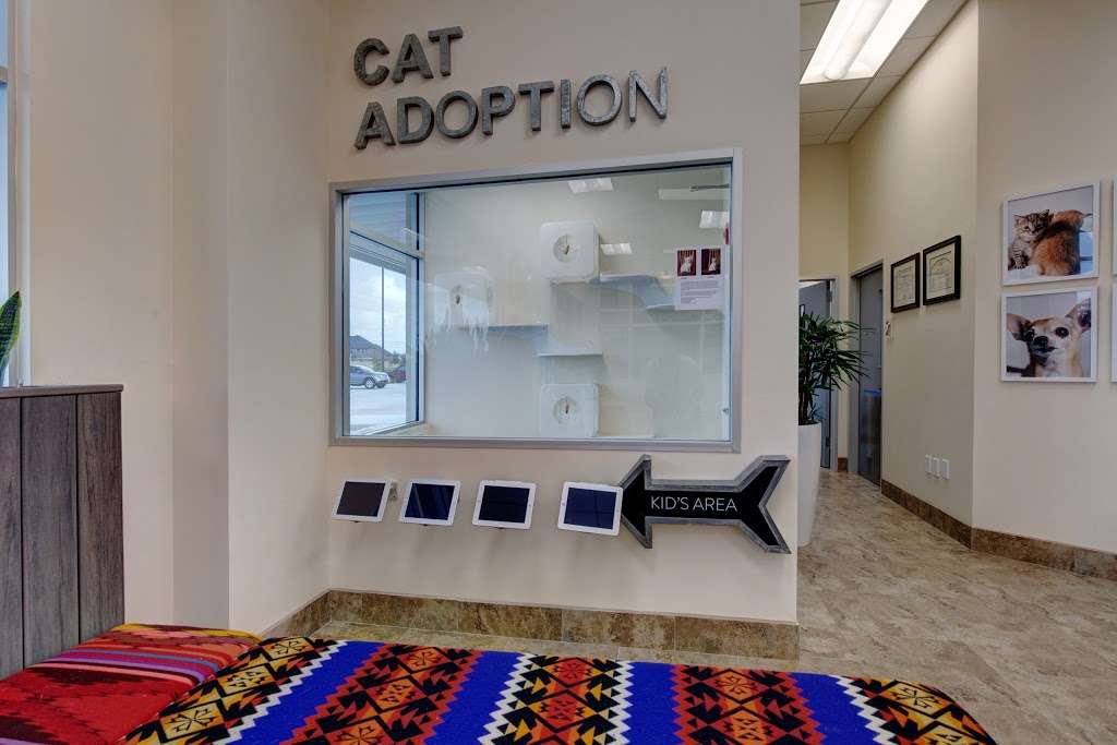 Brixton Pet Hospital & Resort | 4611 FM 1463, Katy, TX 77494, USA | Phone: (832) 913-3800