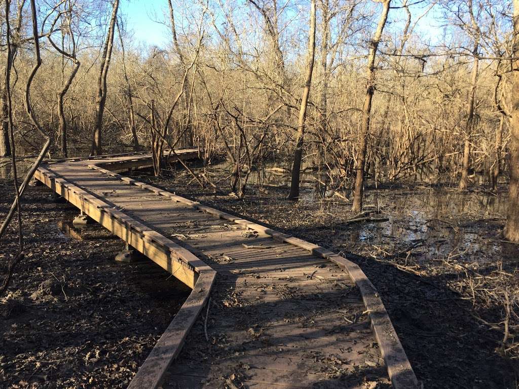 Knobby Knees Trail, Trinity River National Wildlife Refuge | Revinson Dr, Liberty, TX 77575, USA | Phone: (936) 336-9786