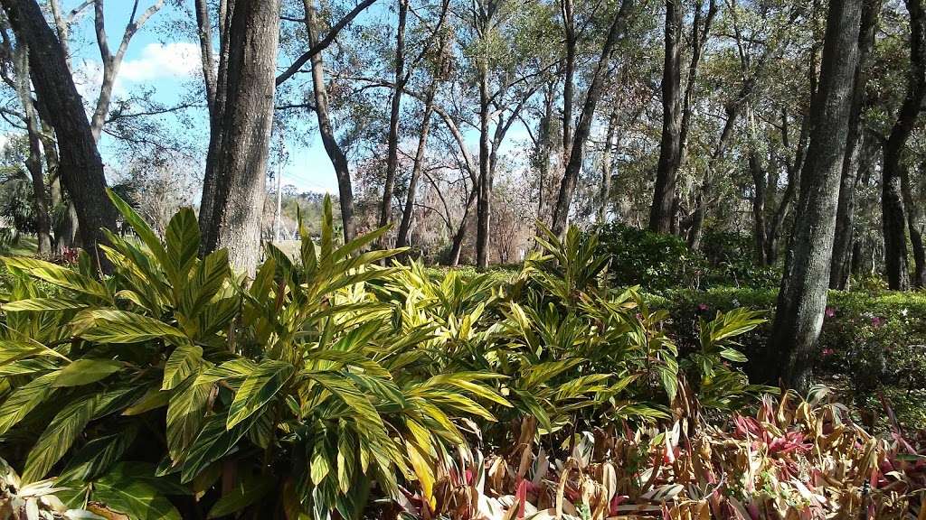 Jim Houser Azalea Garden | 700 Old Horatio Ave, Maitland, FL 32751, USA