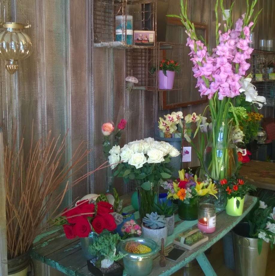 Jaynes Flowers - Belmont | 377 Trapelo Rd, Belmont, MA 02478, USA | Phone: (617) 993-3641