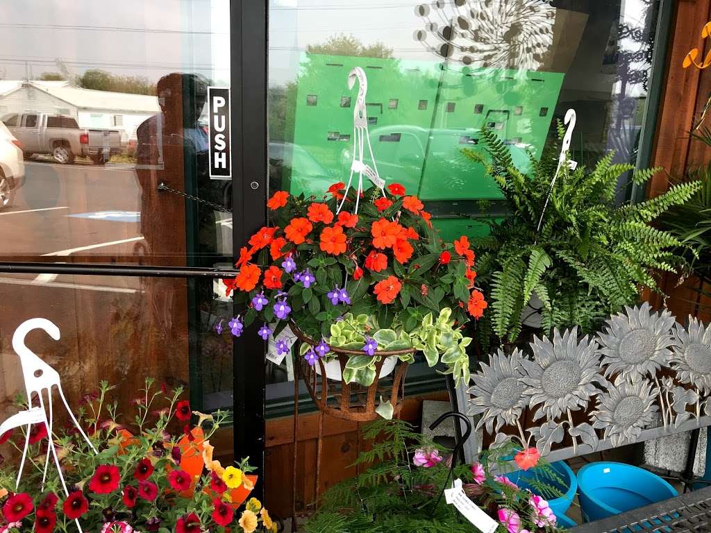 Farmstead Flowers | 170 Cocalico Creek Rd, Ephrata, PA 17522, USA | Phone: (717) 859-2712