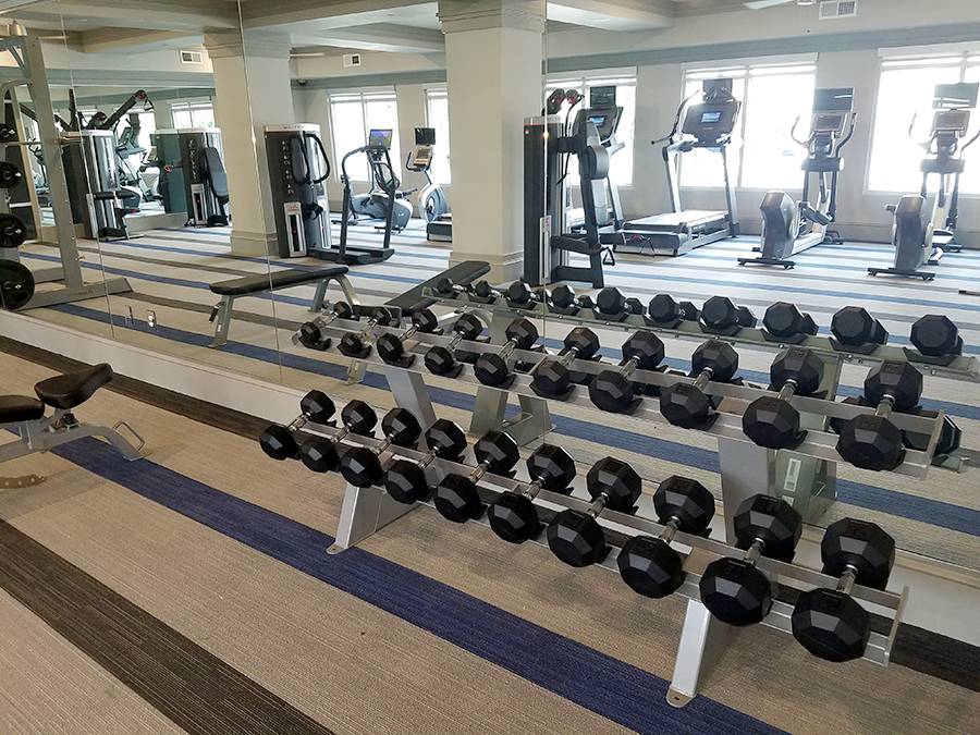 5 Oaks at Westchase | 8820 Thomas Oaks Dr, Tampa, FL 33626, USA | Phone: (844) 502-1932