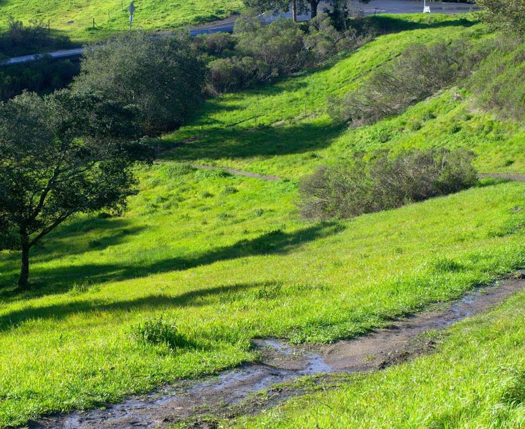 Siesta Valley Recreation Area - Orinda, CA 94563, USA - BusinessYab