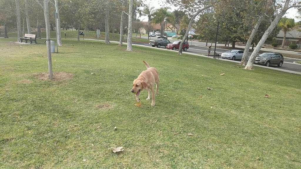 Mission Oaks Dog Park | 5590-5686 Fieldcrest Dr, Camarillo, CA 93012, USA