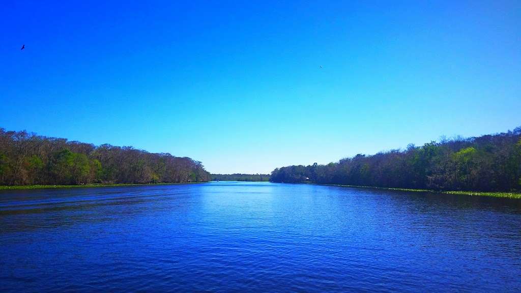Blue Heron River Tours Inc | 2999 West, FL-44, DeLand, FL 32720, USA | Phone: (386) 873-4843
