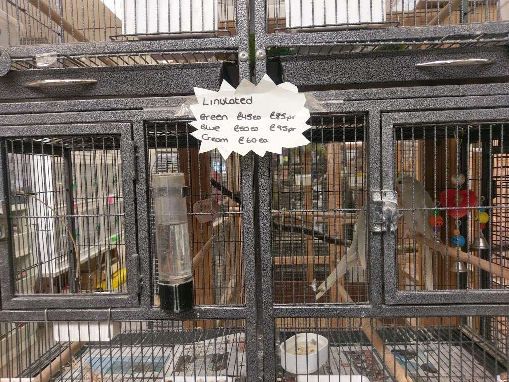 The Enfield Bird Centre bird cages, Cattlegate Rd, Enfield