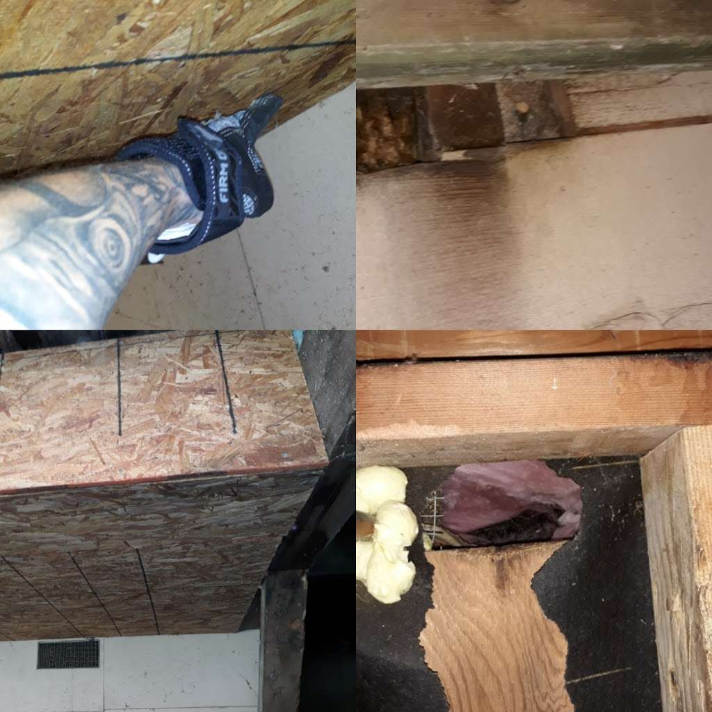 Diamond Rodent Proofing | 354 Yosemite Dr, Pittsburg, CA 94565, USA | Phone: (925) 206-6800