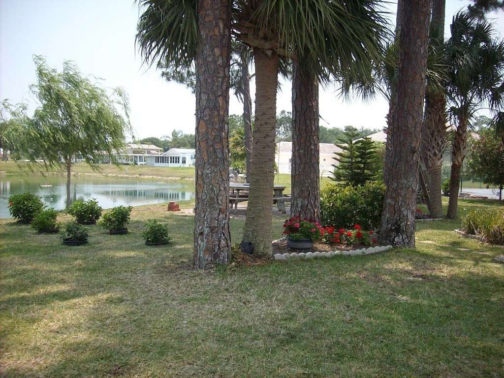 Willow Lakes Golf | 2852 Willow Lakes Ln, Titusville, FL 32796, USA | Phone: (321) 269-7440