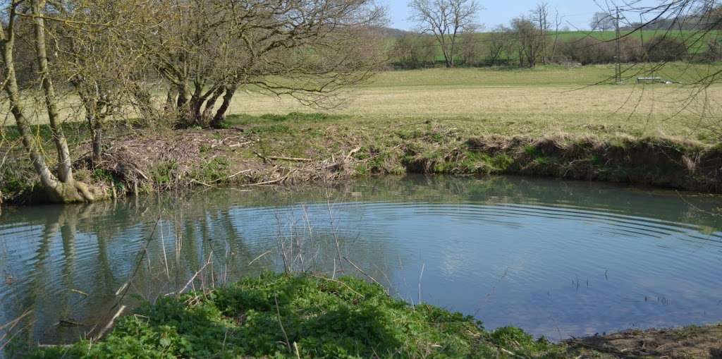 Rickneys Gundog Training Ground in Hertfordshire | Rickneys Lodge, Chapmore End SG12 0HD, UK | Phone: 07887 684119