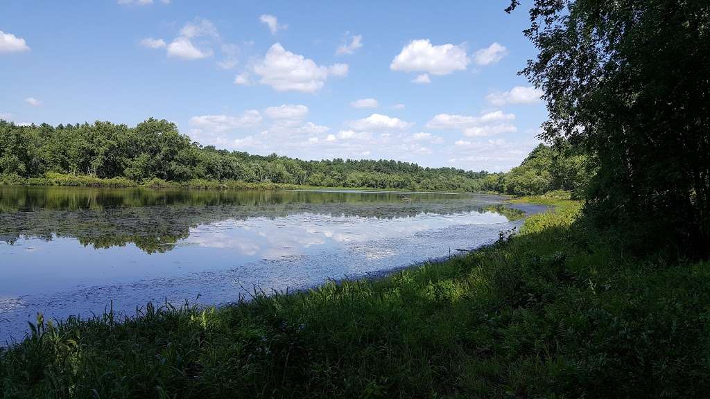 Great Meadows Wildlife Refuge, Billerica | Great Meadows Wildlife Refuge,, Billerica, MA 01821