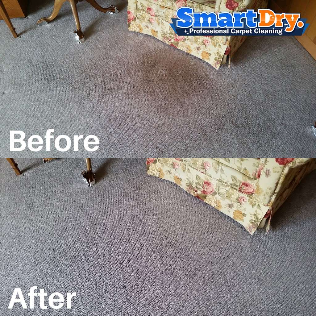 Smart Dry Carpet Cleaning Del Mar | 2775 Via De La Valle #200, Del Mar, CA 92014, USA | Phone: (858) 213-0007