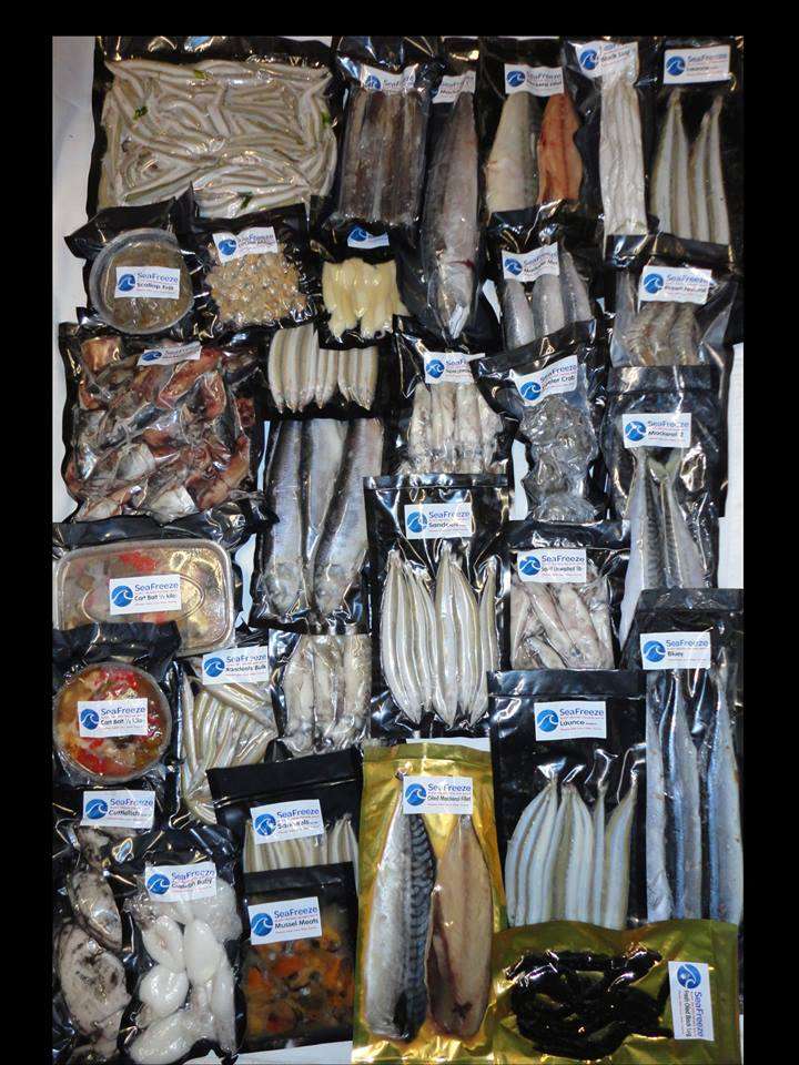 Seafreeze Frozen Fishing Baits | unit 8 humphreys farm humphreys farm lane, Chelmsford CM3 1EF, UK | Phone: 01245 361982