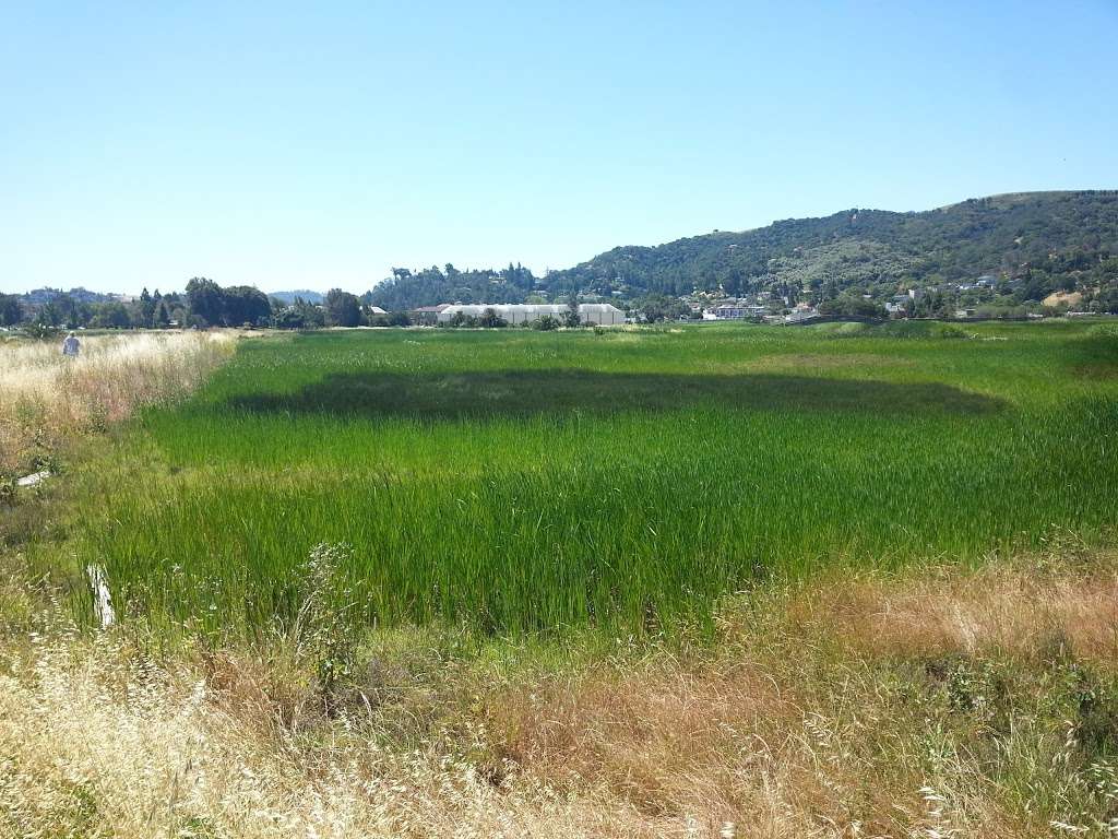 Waterfront Park | 245 N Court St, Martinez, CA 94553, USA | Phone: (925) 372-3510