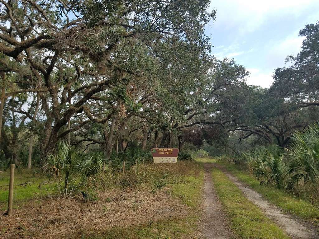 Brumley Rd Trailhead | 2500 Brumley Rd, Chuluota, FL 32766, USA