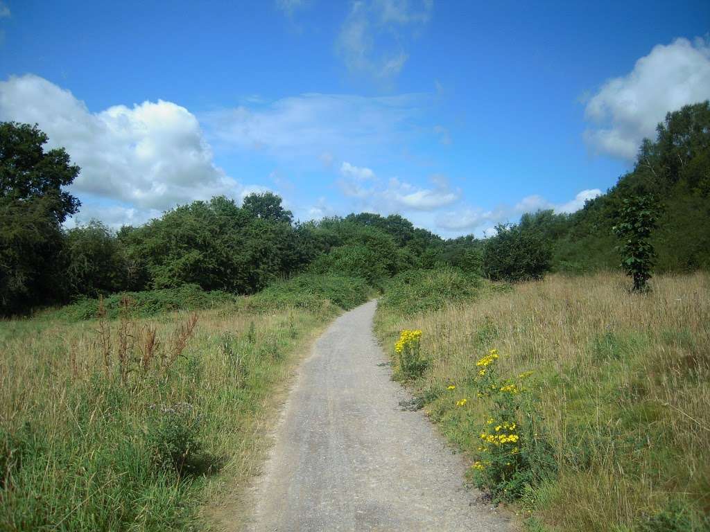 Forest Way Cycle Route NCN 21 | Forest Way, Tunbridge Wells TN2 5HA, UK